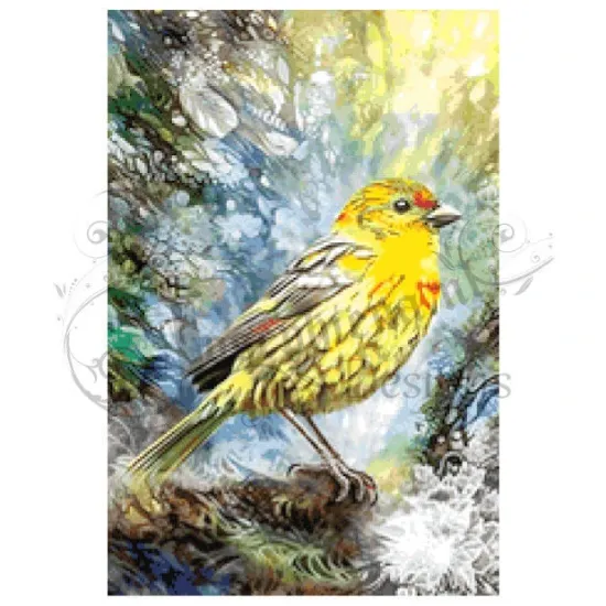 Afbeeldingen van Gele vink - Diamond painting - Josephiena.nl - DP-065