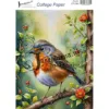 Afbeeldingen van Tuinvogel - Josephiena's collagepapier - CP-064