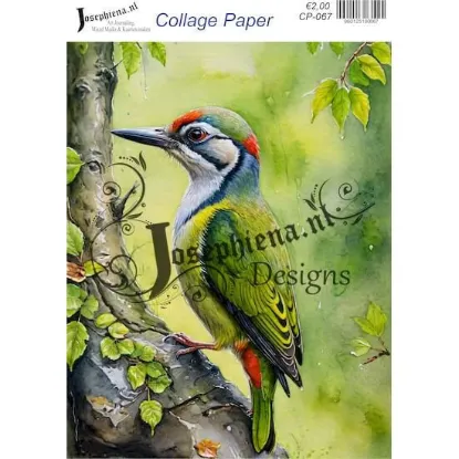 Afbeeldingen van Groene specht - Josephiena's collagepapier - CP-067