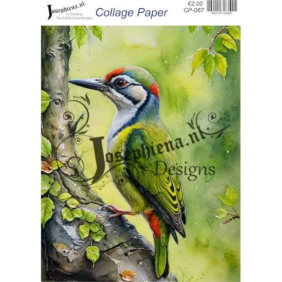 Afbeeldingen van Groene specht - Josephiena's collagepapier - CP-067