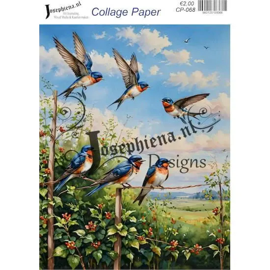 Afbeeldingen van Vogels op de draad - Josephiena's collagepapier - CP-068