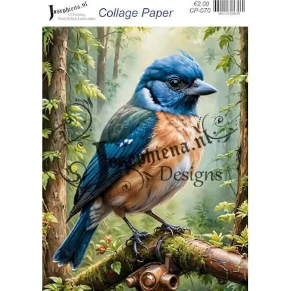 Afbeeldingen van Woudvogel - Josephiena's collagepapier - CP-070