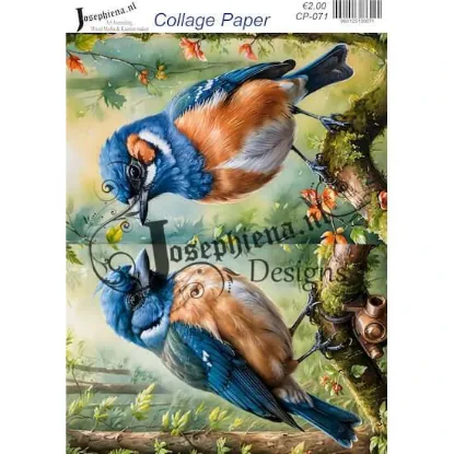 Afbeeldingen van Vogels in het groen - Josephiena's collagepapier - CP-071