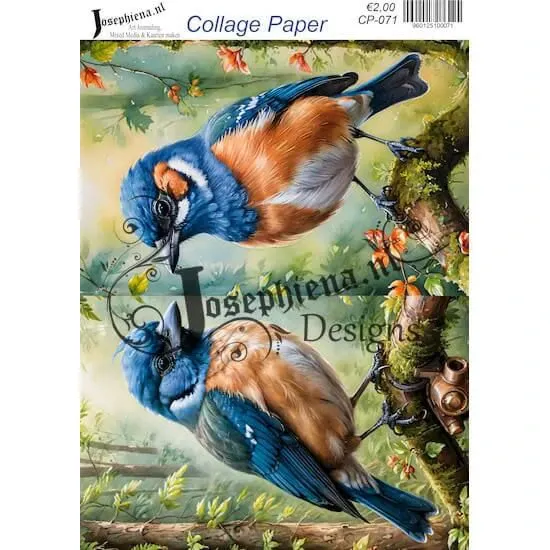 Afbeeldingen van Vogels in het groen - Josephiena's collagepapier - CP-071