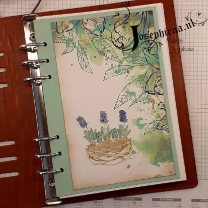 Afbeeldingen van Vogelnest - stansen - Gummiapan