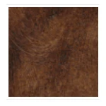 Antique Maroon