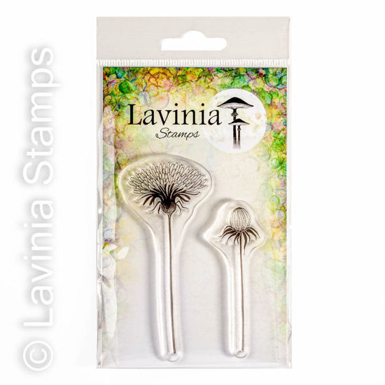 Open Dandelion - Lavinia Stamp - Lav745