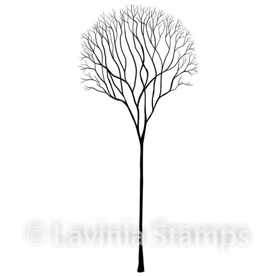 Skeleton Tree  - Lavinia Stamps - LAV532